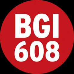 Brennenstuhl Mobiele Breestraler LED IP65 50W -Kwaliteit Gereedschapswinkel 123 5953